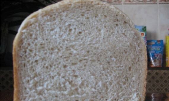Italian bread Ciabatta "lazy" (bread maker)