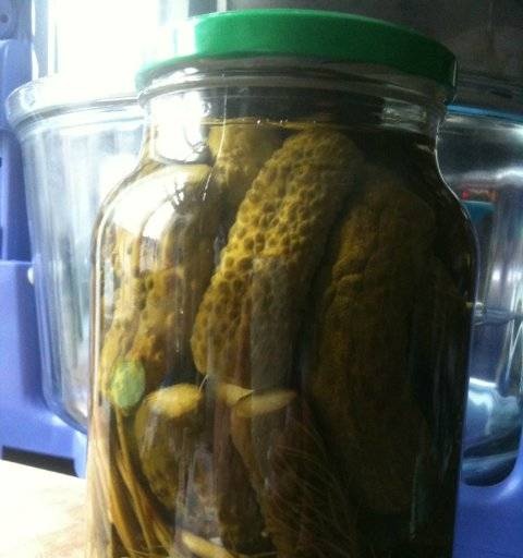 Cucumbers in sweet marinade according to the recipe of kuma