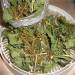 Greens, horseradish, garlic for conservation, dried