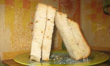 לחם מי גבינה רגיל עם בצל מטוגן (יצרנית לחם)