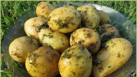 Young potatoes in mint sauce