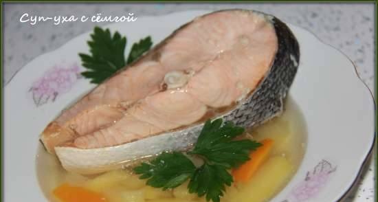 Ukha soup with salmon in 15 minutes (Brand 6051 multicooker-pressure cooker)