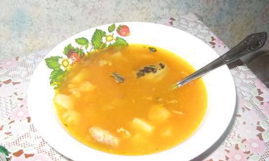 Fish and carrot soup (multicooker SUPRA MCS-5151)
