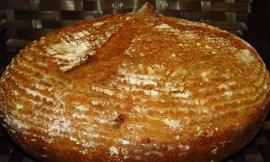 Custard onion bread with whole grain flour on liquid yeast "Cipollino"