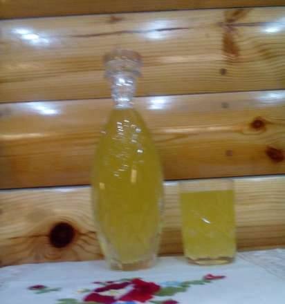 Mead in Oursson FE0205D / GA fermenter