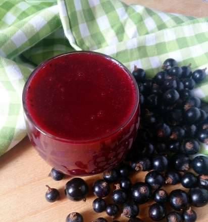Rich berry jelly in Princess Blender Soup Cooker 212040