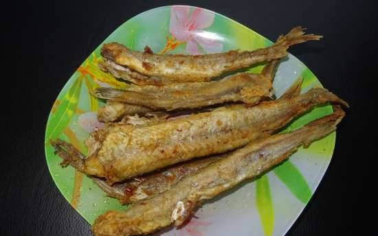 Fried blue whiting