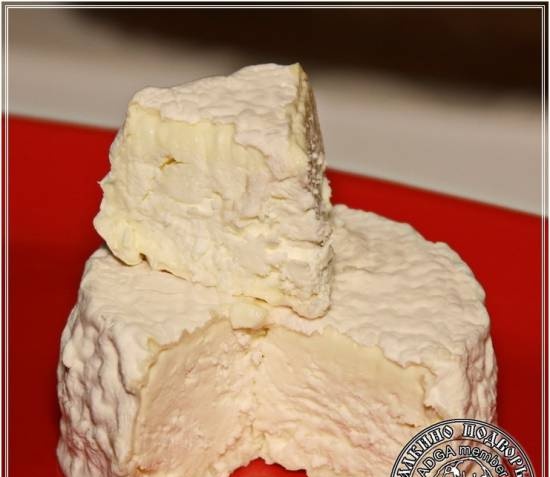 גבינת קרוטן עשויה מחלב עזים אנגלו-נובית