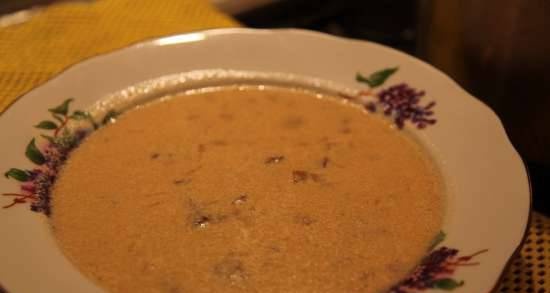 Mushroom soup with "rags"