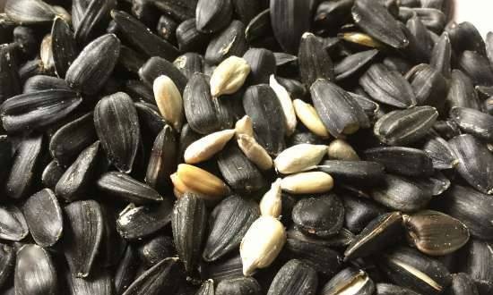 Roasted sunflower seeds in multicuisine DeLonghi