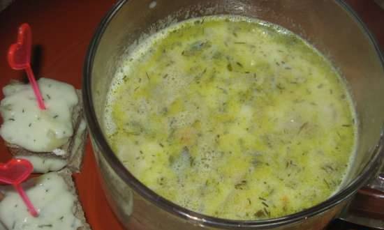 Fresh cabbage soup with milk