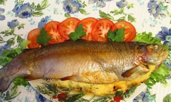 Rainbow trout baked with cheese and onions