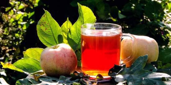 Fermented tea "Astringent Apple"