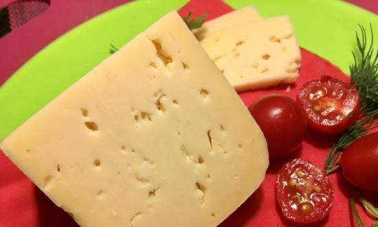 גבינה רוסית היא הגאווה של יצרני הגבינות המקומיות