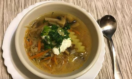 Light cabbage soup from sauerkraut and champignons