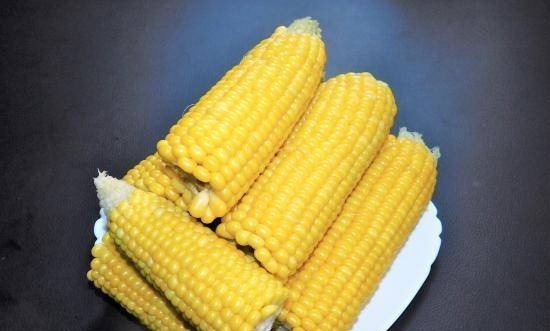 Corn, steamed in a Panasonic multicooker