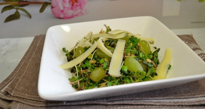 Microgreen radish salad with cheese and pine nuts
