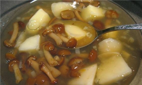 Honey mushroom soup
