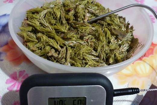 תה ירוק - תסיסה ביצרן יוגורט ממותג 100 ומולטי קוקר של מותג 701