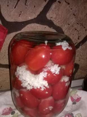 Tomatoes under the snow