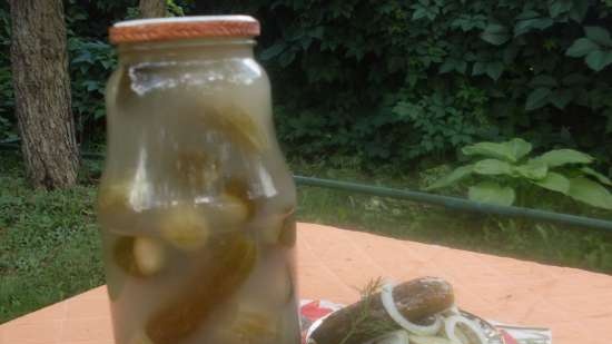 Naturally fermented cucumbers (without vinegar) for curling
