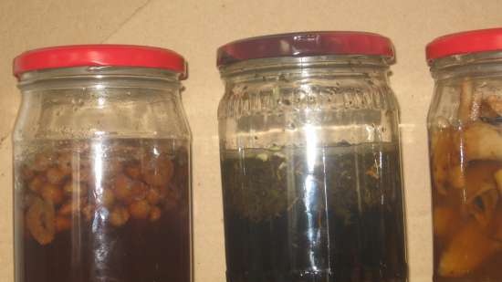 Liquid yeast based on fruits, vegetables, herbs, tea ...