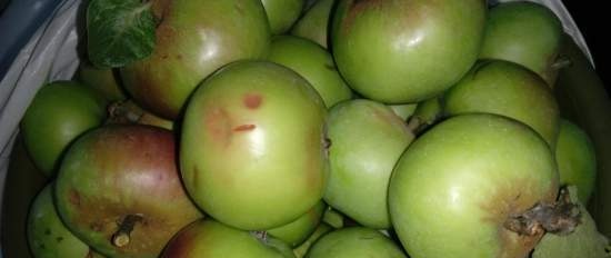 Unripe apples are good