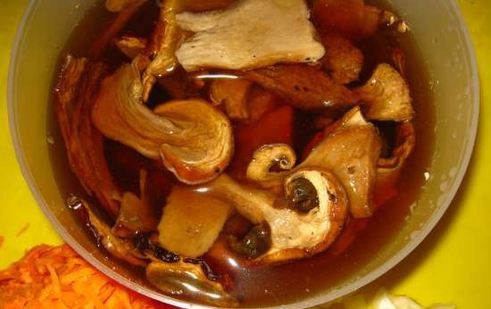 Chicken steaks with porcini mushrooms in the Saturn ST-MC9184 multicooker pressure cooker