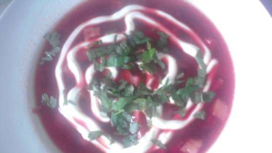 Simple borscht in the multicooker Stadler Form