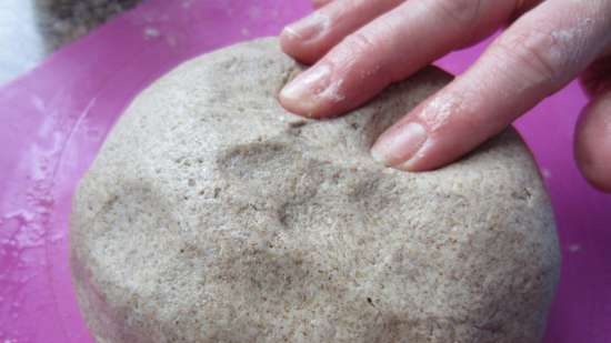 Rye hearth bread 100% sourdough "Without nothing" (oven) (there is a conversion to yeast)