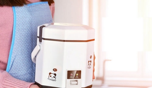 Small economical octagon-shaped rice cooker (1.2 liters)
