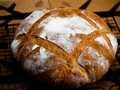 Breton bread