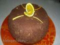 Chocolate cake with crushed hazelnuts (Philips 3134/00)