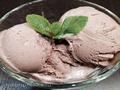 גלידת נענע שוקולד