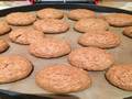 Oatmeal cookies with raisins Pizza Maker Princess 115000