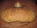 Moulinex. Everyday bread