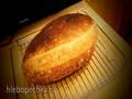 French wheat bread