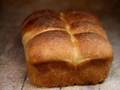 Oat bread on a dough