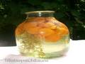 Compote Tarragon (apricots, apples, pears, gooseberries)
