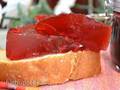 Jam-jelly viburnum red