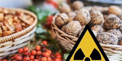 Radioactivity and human food
