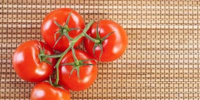 תכונות הריפוי של עגבניה