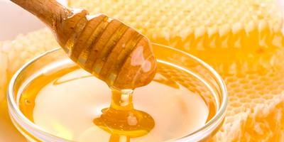 Honey and its healing properties