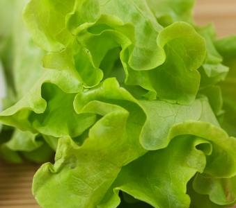 Useful properties of lettuce leaves
