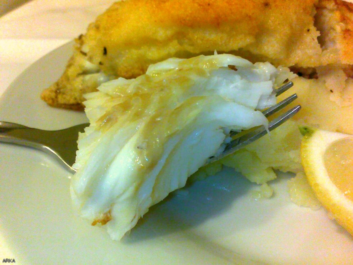 Fried halibut in semolina